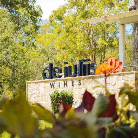 a vase of flowers on a tree