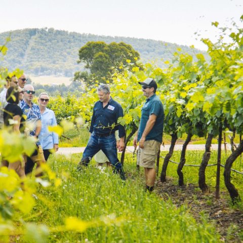 a man and a woman standing in front of a tree