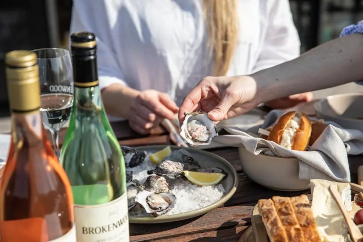 People enjoying oysters and wine at a table with sunlight.