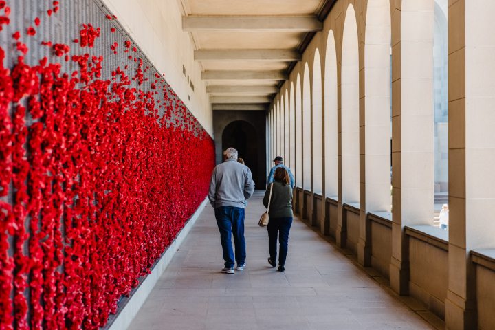 People walking down a corridor with red poppies on the wall to their left.