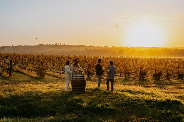 Four people stand by a barrel in a vineyard at sunset.