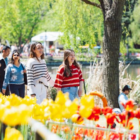 Group of people walking through a park with tulips and a pond.