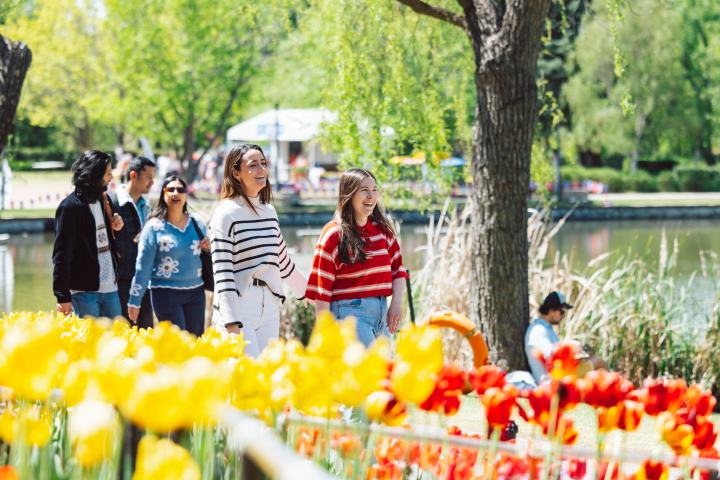 Group of people walking through a park with tulips and a pond.