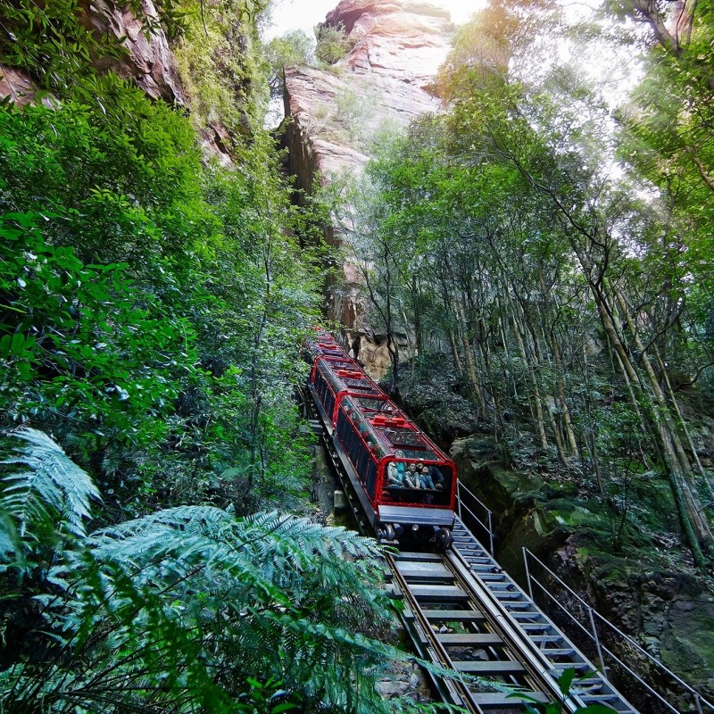 a train traveling down train tracks near a forest