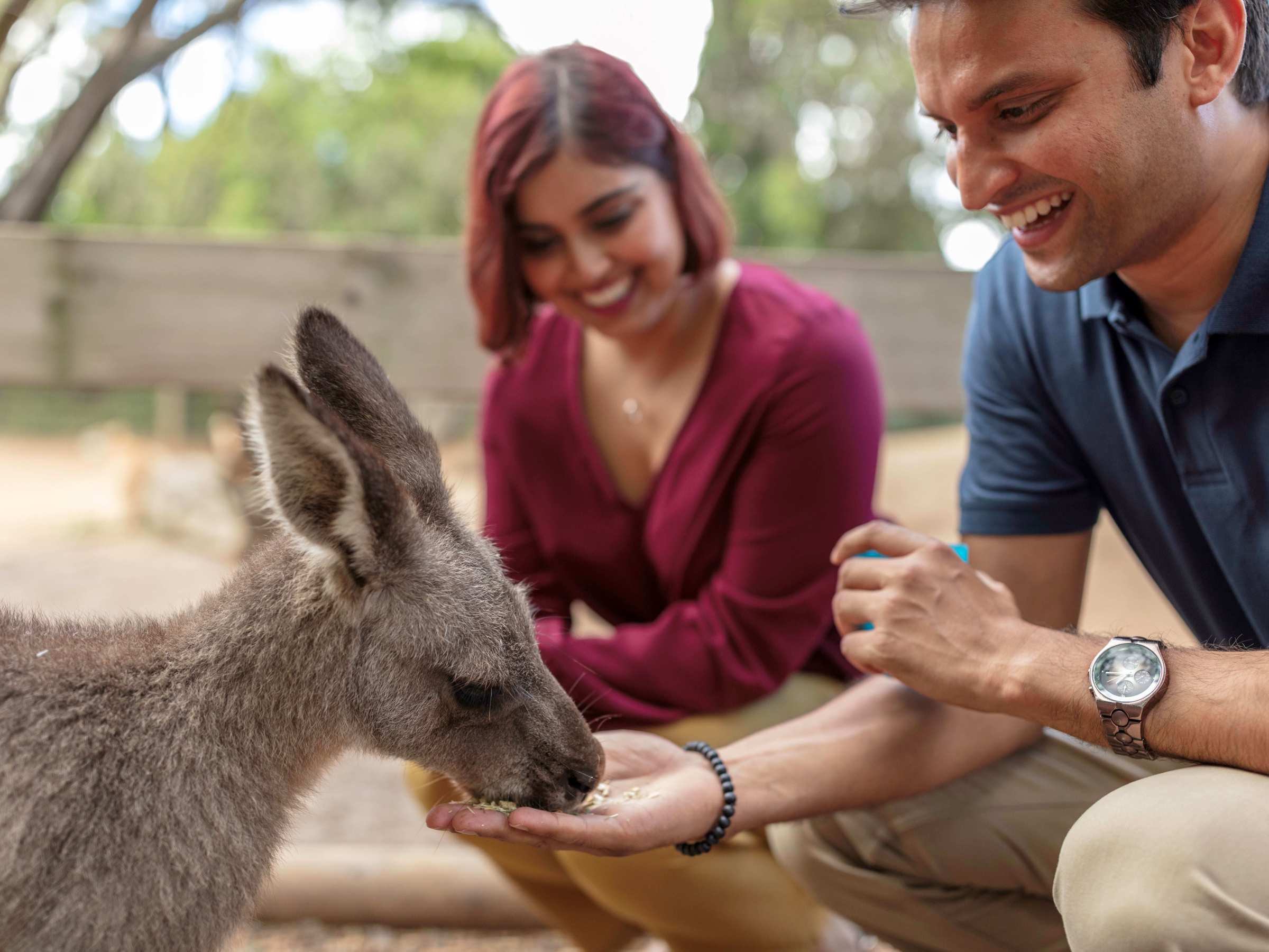a person holding an animal