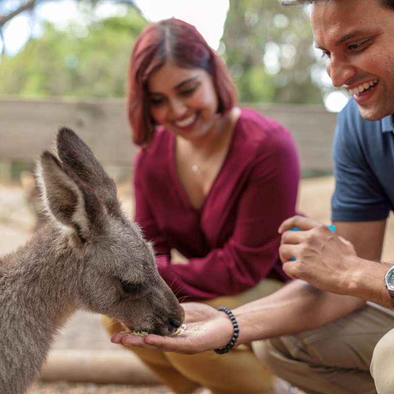 a person holding an animal