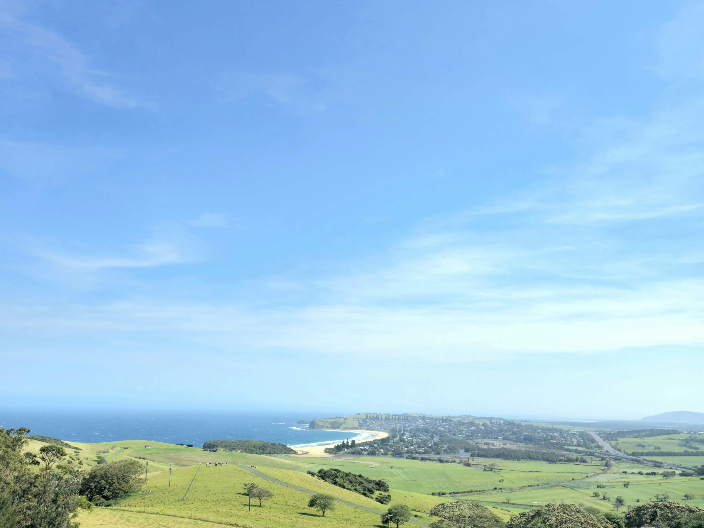a herd of sheep grazing on a lush green field
