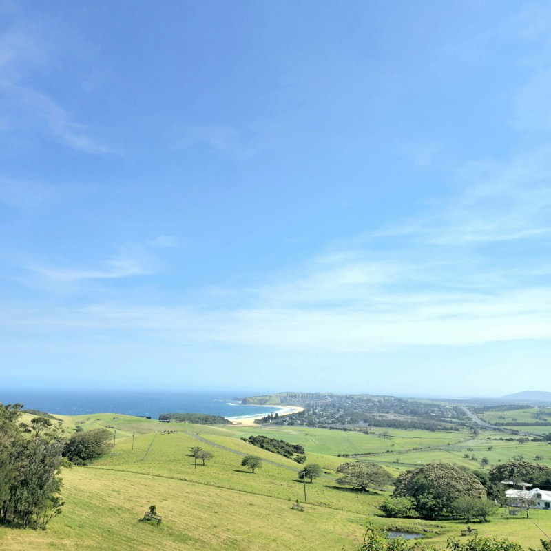 a herd of sheep grazing on a lush green field