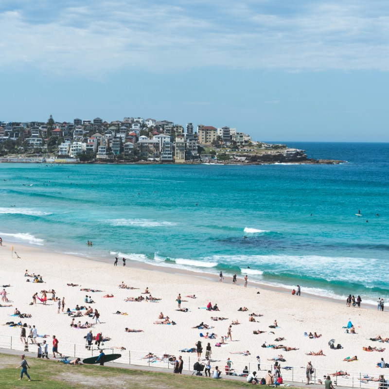 a group of people on a beach with Bondi Beach in the background