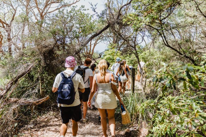 Group of people walking on a forest trail surrounded by trees and greenery.
