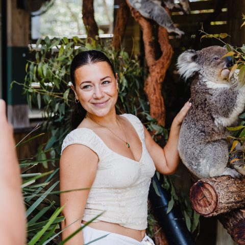 Person posing with a koala in a natural setting, while another takes a photo with a smartphone.