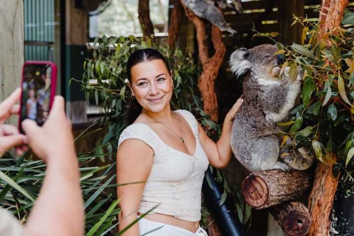 Person posing with a koala in a natural setting, while another takes a photo with a smartphone.
