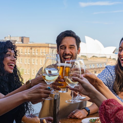 Group of friends toasting with drinks on a sunny rooftop, city skyline in the background.
