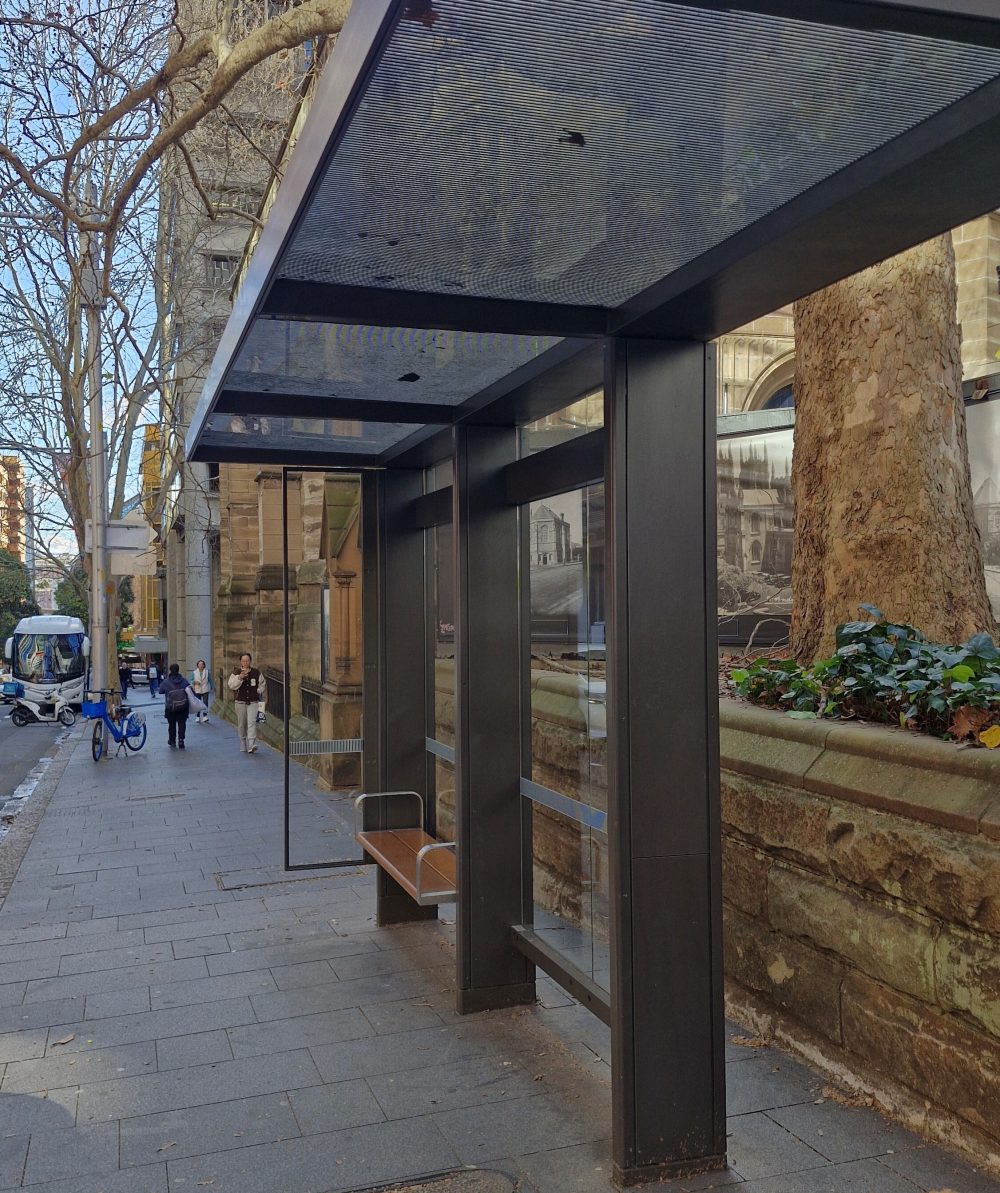 Empty glass bus shelter on a city sidewalk near trees and historic buildings.