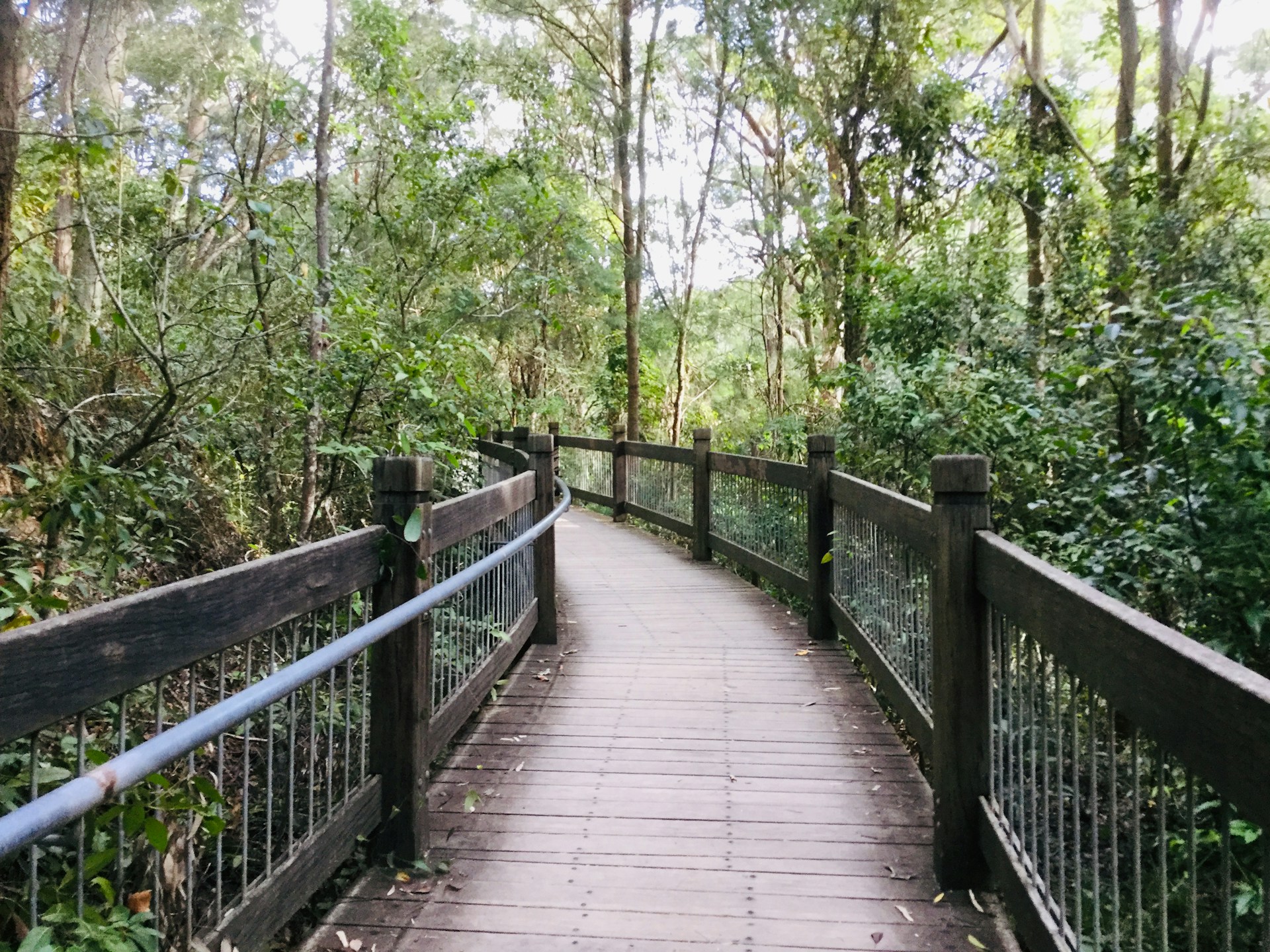 Blue Mountains, Australia