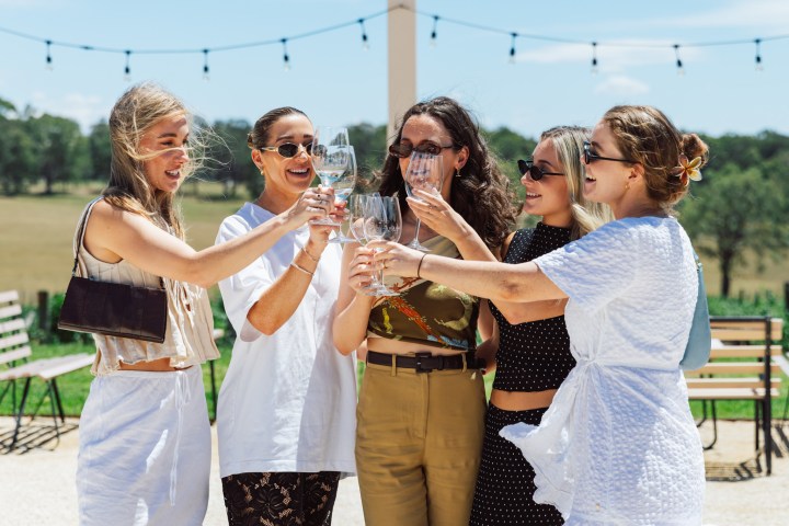 Five women outdoors clinking glasses while smiling on a sunny day.