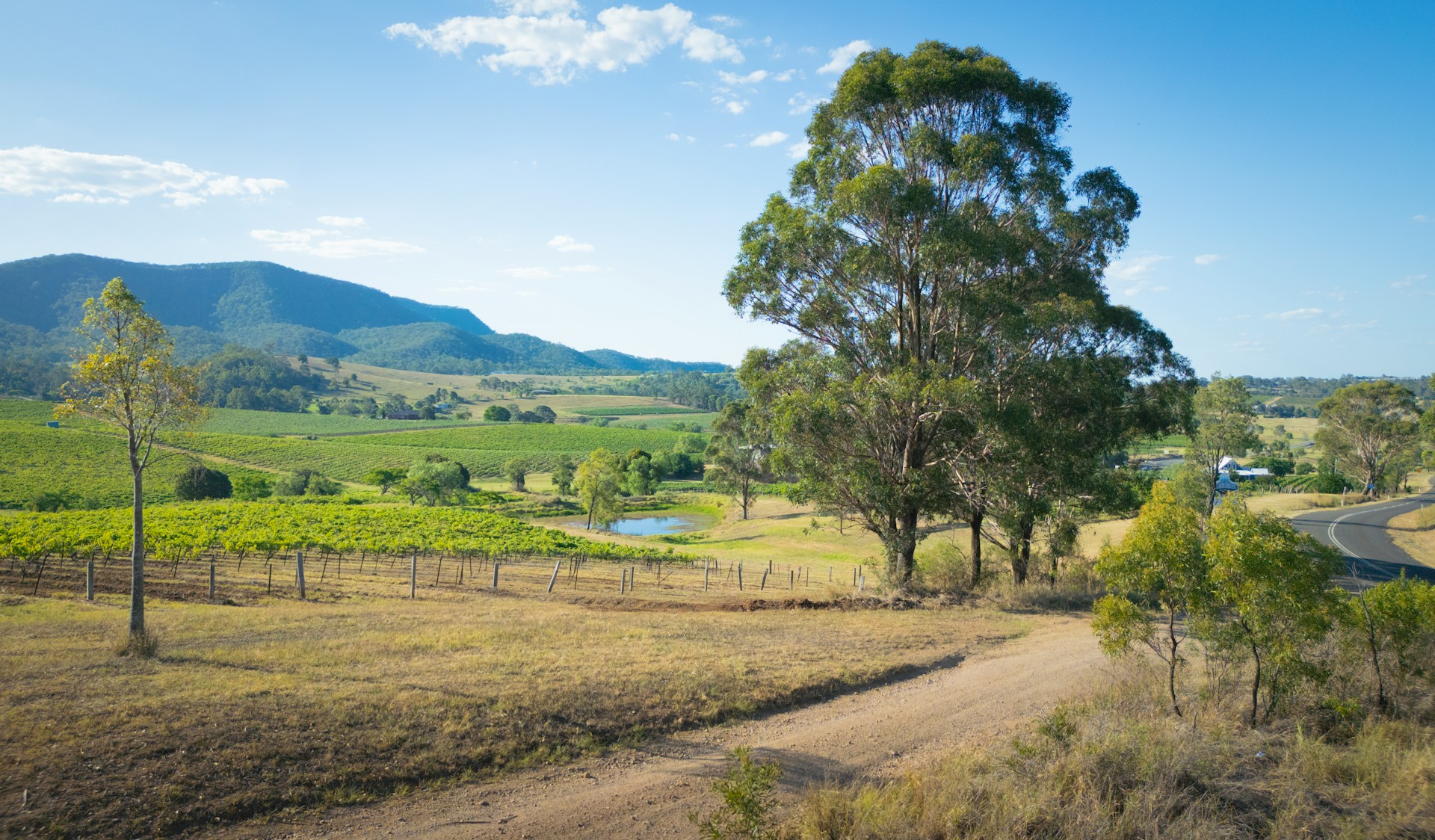 Hunter valley